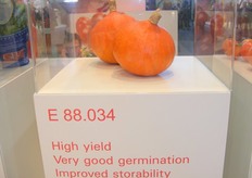 Vitalis komt met een nieuwe pompoen.