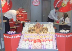 Pan United maakt zich klaar voor de eerste bezoekers