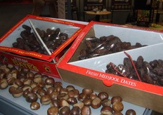 Amerikaanse en Mexicaanse Medjool-dadels