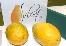 Nieuwe papaja in het Mexbest-assortiment