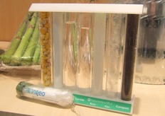 Waar PLA eerst eerst werd gemaakt van de vrucht wil men nu de plant en bladeren gaan verwerken.