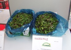 Genomineerd voor de FL Innovation Award: Flandria