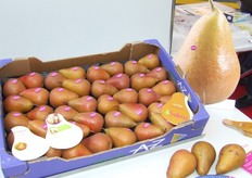 Genomineerd voor de FL Innovation Award: Selena