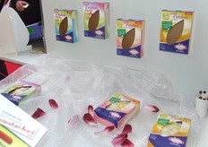 Genomineerd voor de FL Innovation Award: gesneden witlof