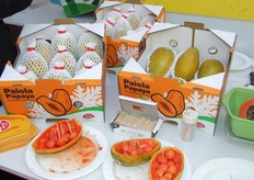 Genomineerd voor de FL Innovation Award