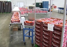 Mooie tomatenverpakking