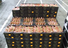 Tommies in Eminent-doos