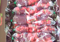 Radijsjes van Valstar