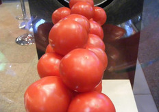 Roze tomaat Momotaro van Takii. Er is nu een 1e proef van deze meerhokkige tomaat. Deze is bestemd voor de gastronomie.