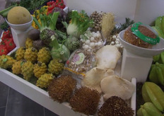 Nieuw paddenstoelen-assortiment bij Bud