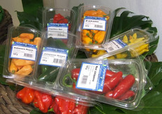 verschillende pepers van ERP