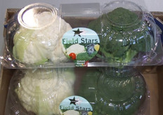 Field Stars van Vogel AGF