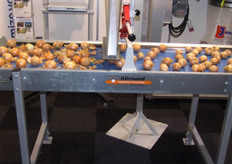 Luchttechniek an Allround Vegetable Processing