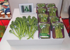 Bellaverde van Monsanto