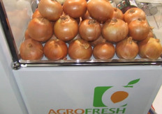 Grote uien bij AgroFresh