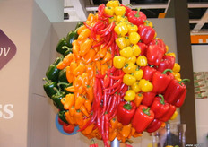 Opvallende creatie bij Haluco