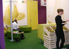 Promotie voor de Hollandse conference peren