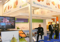 Veiling Haspengouw. Rechts Bart Wijgaerts