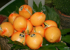 JinJin levert nu jaarrond Pomelo's