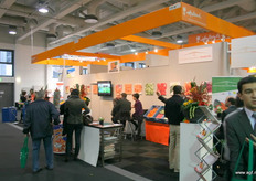 Snijpunt, Harries en Wortelverwerking Bladel