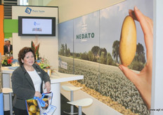 De nieuwe stand van Nedato