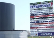 Kwekerij De Westerschelde was de derde tuinder die koos voor vestiging in het gebied Glastuinbouw Terneuzen. Belangrijke reden om voor Glastuinbouw Terneuzen te kiezen was het duurzame energieconcept van dit nieuwe glastuinbouwgebied.
