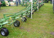 Hoe ras Wil JE Het Hebben