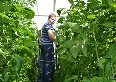 Even boven het gewas kijken