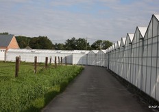 Tuinbouwbedrijf De Vocht in Sint-Katelijne-Waver teelt al jarenlang veldsla voor de Mechelse Veilingen. In deze fotoreportage is het proces van oogst tot veilen te volgen.