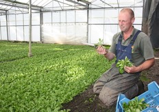 Hier laat de teler zien dat de structuur van het blad wat dunner is. In de lente is dat dikker.