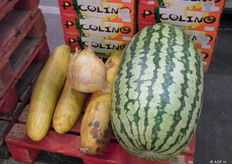 Deze megaproducten liggen bij elkaar uitgestald.