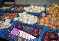 uien in alle soorten en maten