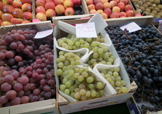 Rode, witte en blauwe druiven