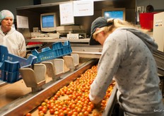 Een groot deel van het personeel bij Westburg is van Nederlandse komaf. Zo werken er een flink aantal scholieren.