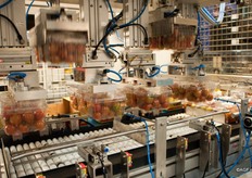 De bakjes worden volautomatisch in de trays geplaatst