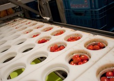 Alle shakers worden automatisch gevuld en door een machine van een deksel voorzien.