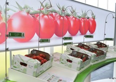 Alle Marketing @ Work rassen op een rijtje