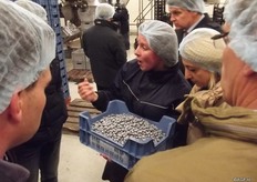 diepvriesbessen, zo hard als knikkers