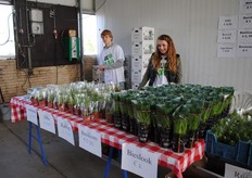 Kruiden te koop!
