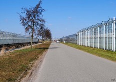 IJsselmonde opent de deuren