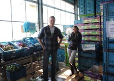 Verkoop van jonge andijvie, frisee en lollo rosso