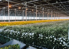 In het achterste gedeelte van het bedrijf waren de schermen dicht en de lampen aan