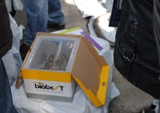 De hommels van Biobest: een beetje spannend, maar ook wel leuk vonden de jeugdige bezoekers.