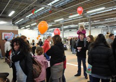 Ballonnen in de kas, weer eens wat anders