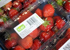 Op de producten is middels het Vers van Hier-logo en de naam en teeltlocatie van de teler te zien dat het product uit de regio komt