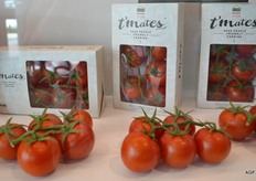 exclusieve tomatenverpakking