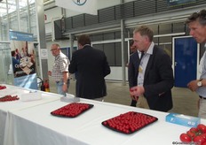 Smaaktest met als verrassende resultaat het verschil in smaak van de omaat die een net geoogst is en dezelfde tomaat die een week oud is.