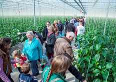 Drukte in de paprikakas