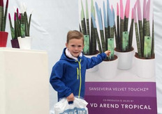 Een nieuwe fan van de Sanseveria Velvet touchz, de plant met de fluwelen gekleurde topjes, bij Kom in de Kas Westland. Deze bezoeker heeft zijn keuze gemaakt!