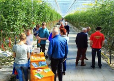 Aandacht voor de hommels bij prachtig weer.